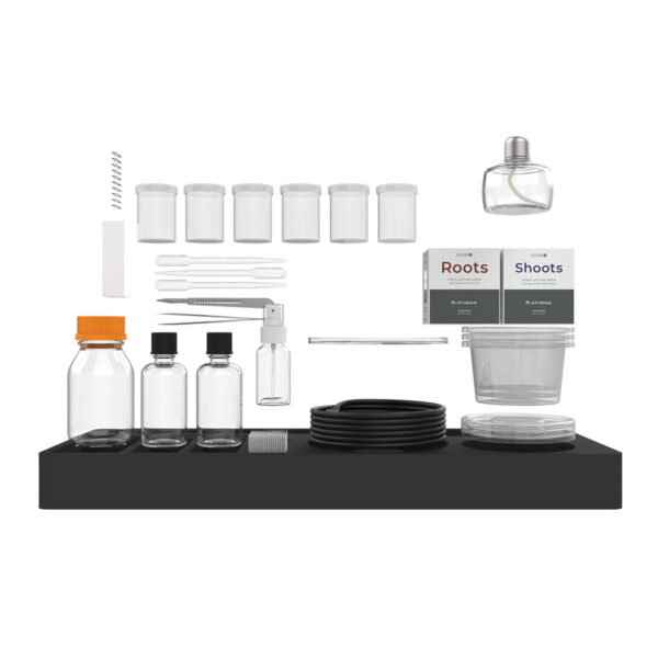 Athena Culture Kit - Imagen 6