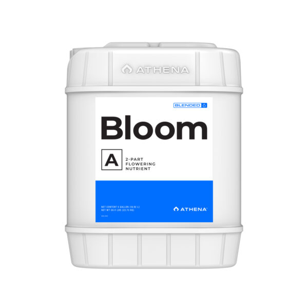 Athena Bloom A 5GAL