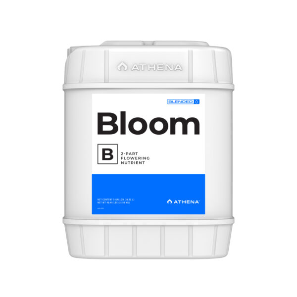 Athena Bloom B 5GAL