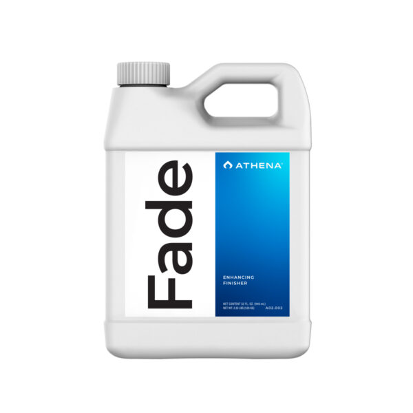 Athena Fade 32OZ