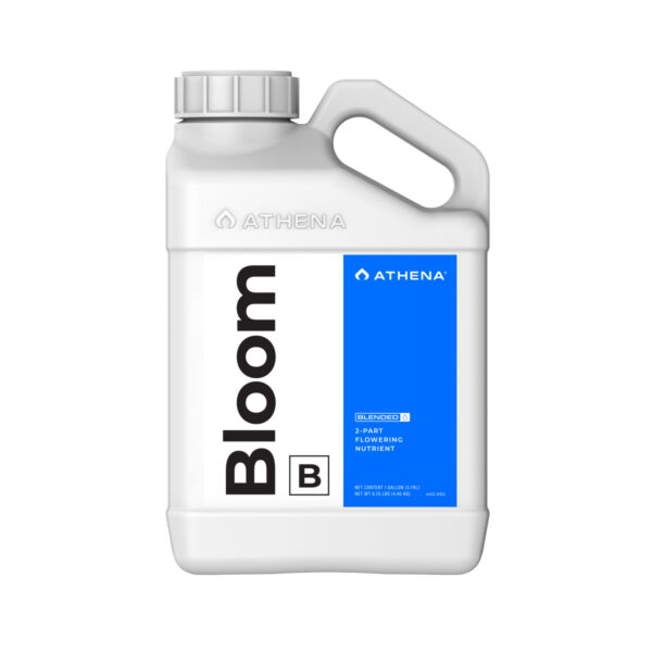 Athena Bloom B 1GAL