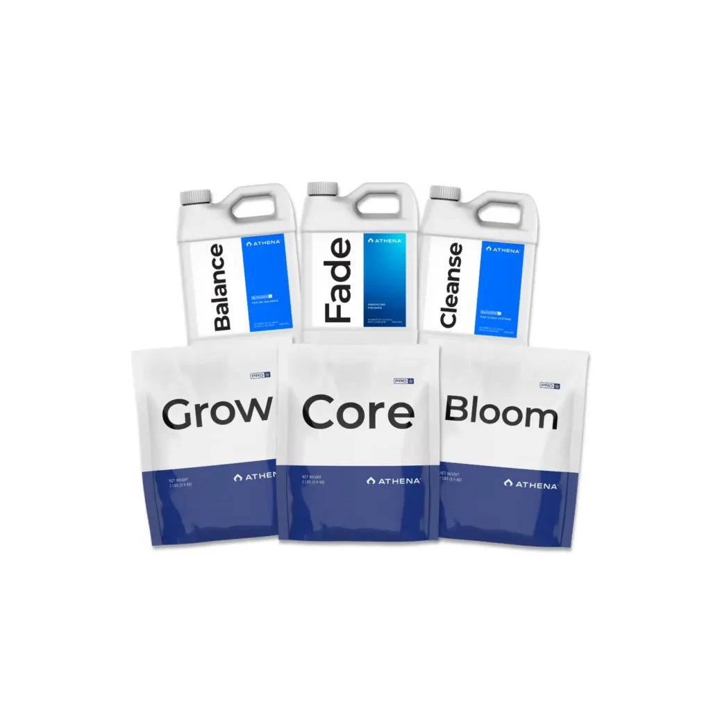 PROMO Athena Starter